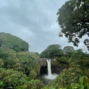 Womens clothes sizes Medium and Large; 8-10. Shoe size 8.5